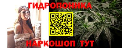 спайс Вышний Волочёк
