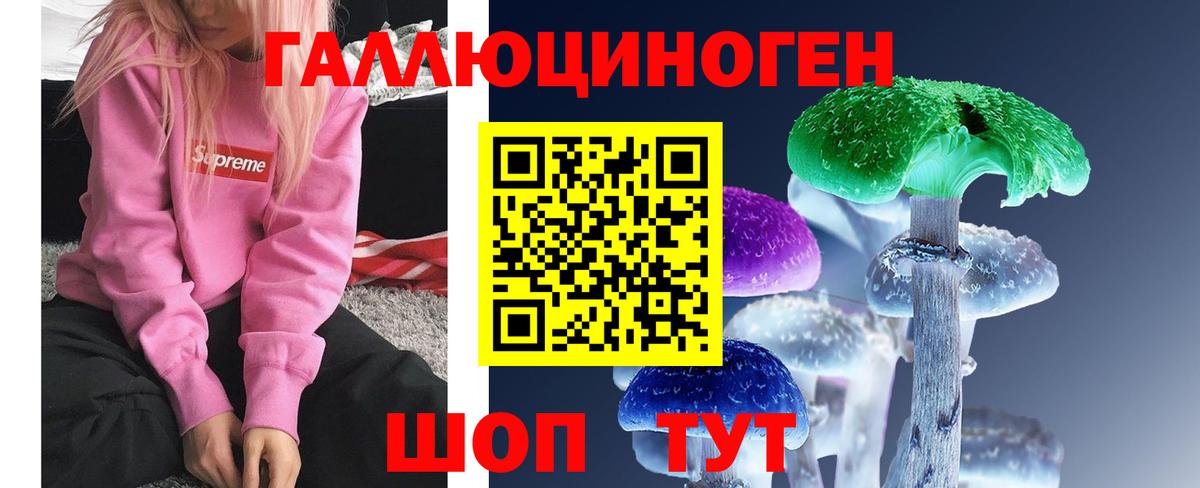 Псилоцибиновые грибы GOLDEN TEACHER Ишим