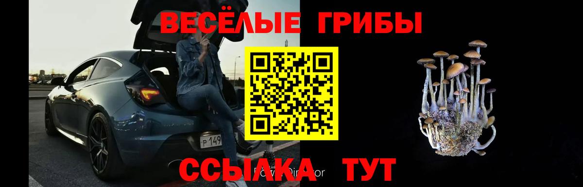 Ишим  Галлюциногенные грибы MAGIC MUSHROOMS  Вход с VPN 
